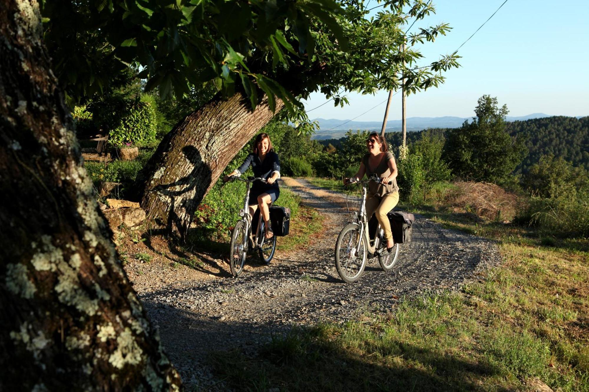 De La Tour De Brison Sanilhac (Ardeche)